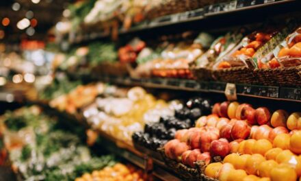 Expositor para hortifrúti + estratégico: mantendo produtos frescos com um layout logístico inteligente