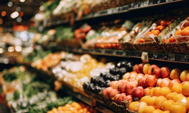 Expositor para hortifrúti + estratégico: mantendo produtos frescos com um layout logístico inteligente