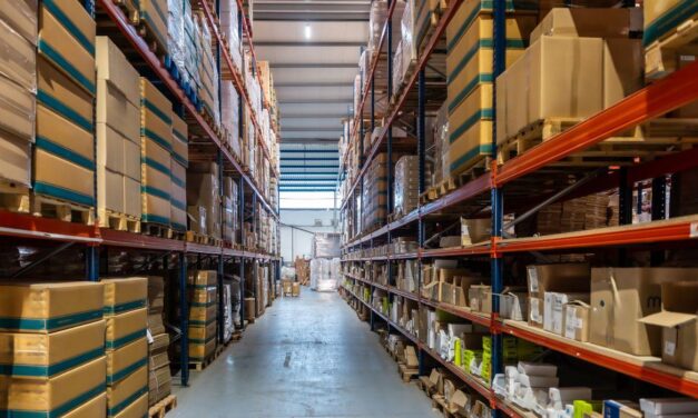 Mini porta paletes ou porta paletes convencional: qual é a melhor solução para o seu estoque?