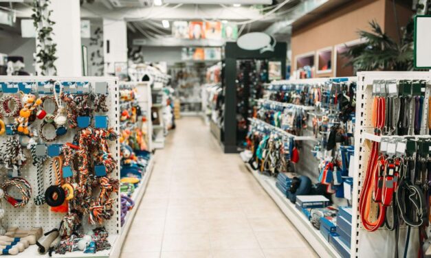 Montagem de pet shop: quais equipamentos são essenciais para um layout funcional e atrativo?